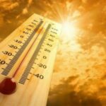 canicule