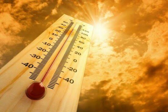 canicule
